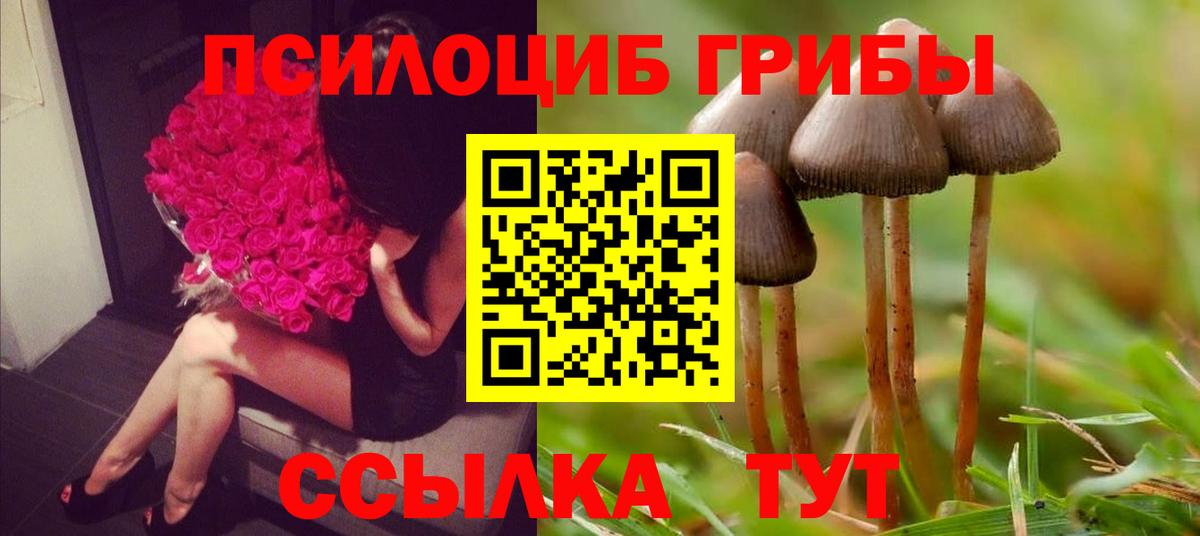 где можно купить наркотик  Галлюциногенные грибы ЛСД  Галлюциногенные грибы прущие грибы  Вход с VPN  Выкса 