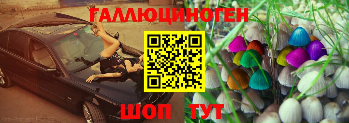 Псилоцибиновые грибы Psilocybe Выкса